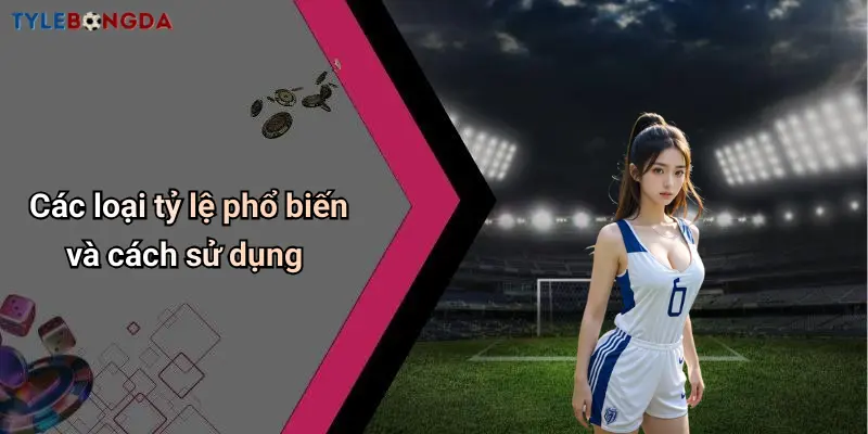 Các loại tỷ lệ phổ biến và cách sử dụng