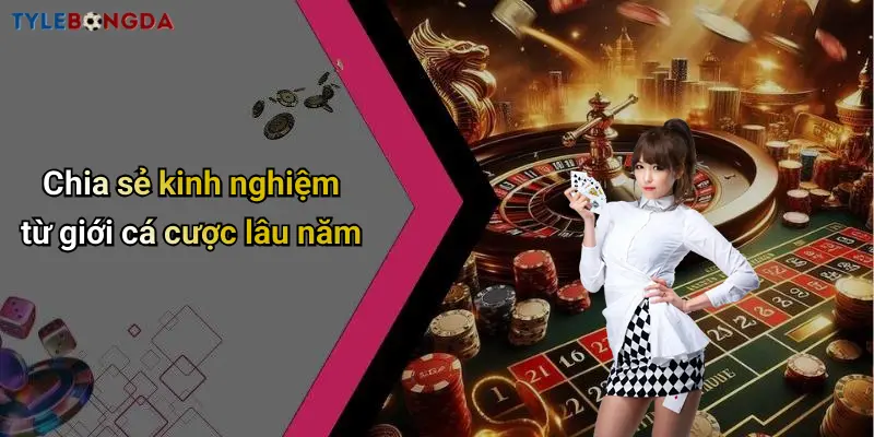 Chia sẻ kinh nghiệm từ giới cá cược lâu năm