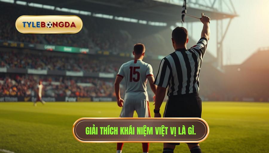 Định nghĩa cơ bản: Việt vị là gì?