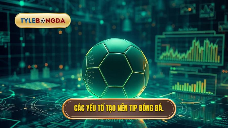 Phân tích đa chiều: Các yếu tố tạo nên một Tip bóng đá chất lượng